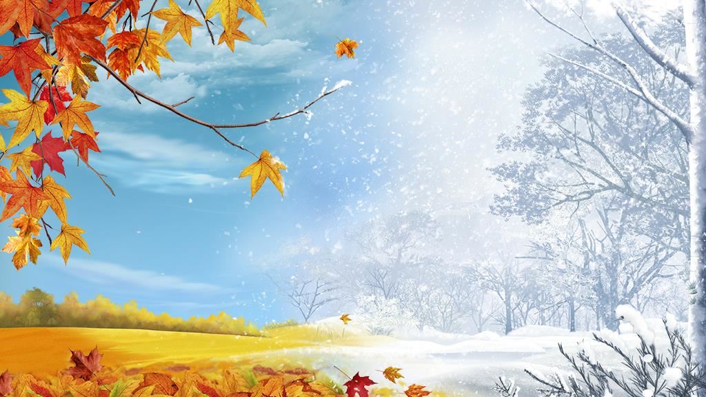 Seasons Changing 